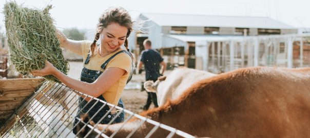 povestidulci-doamna-de-la-ferma